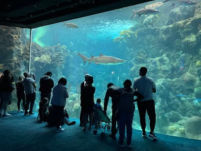Acuario de la Florida