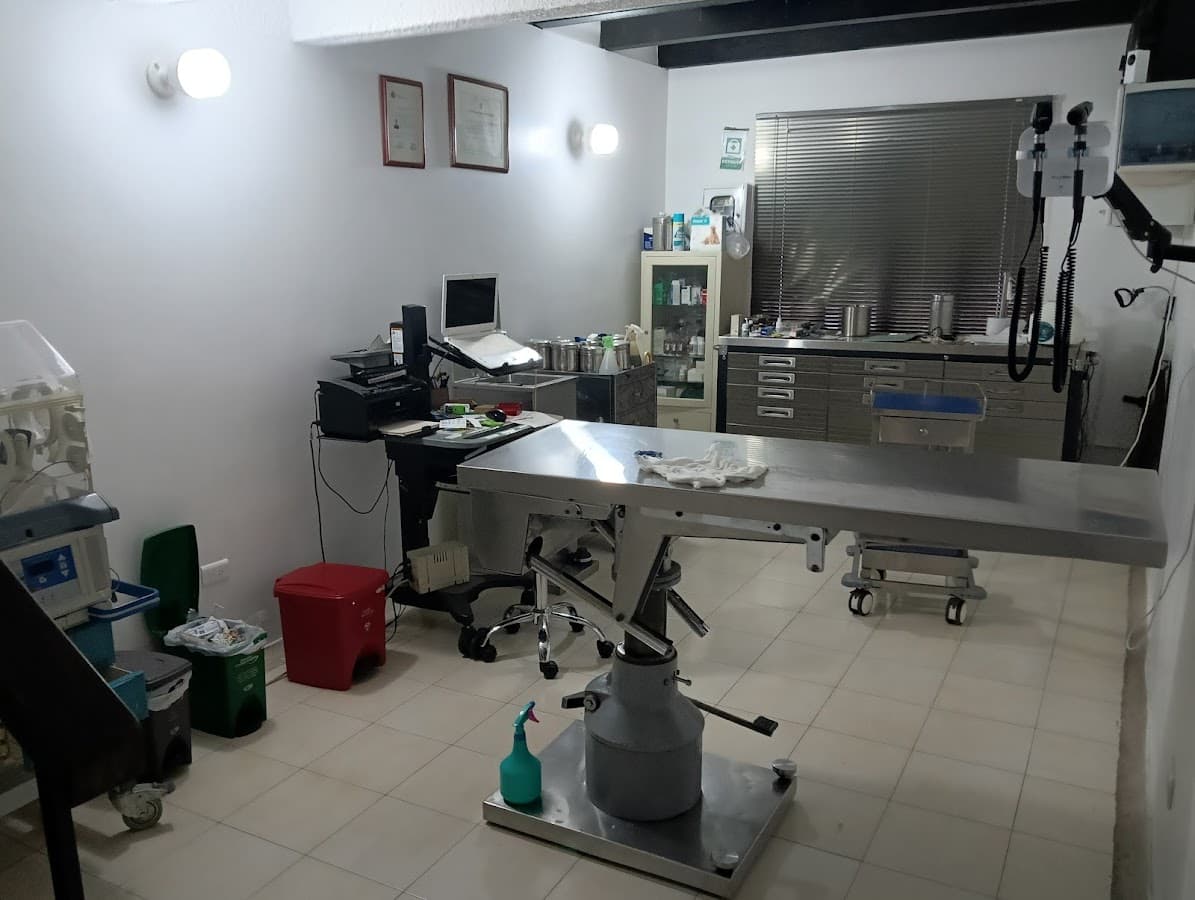 Veterinaria Salud-Zoo