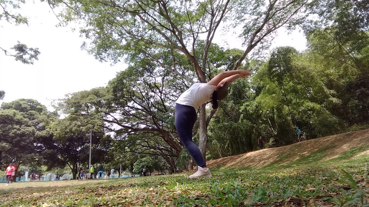 Parque del Ingenio — foto