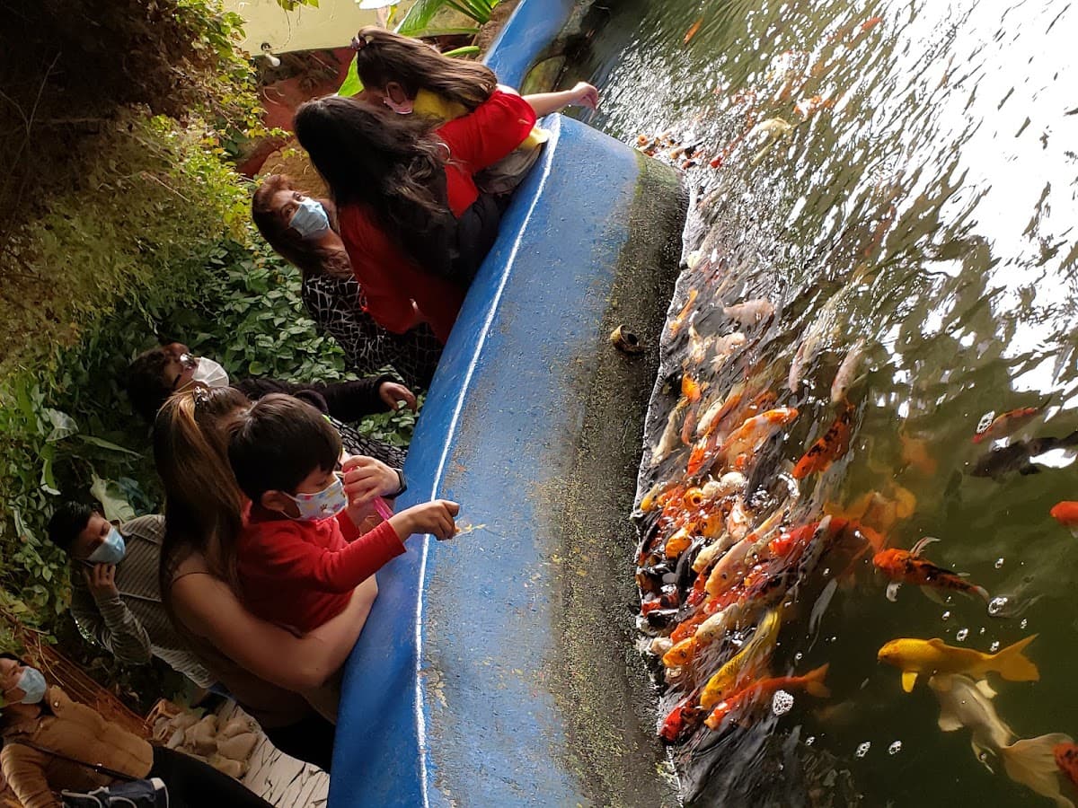 Parque Acuático — foto