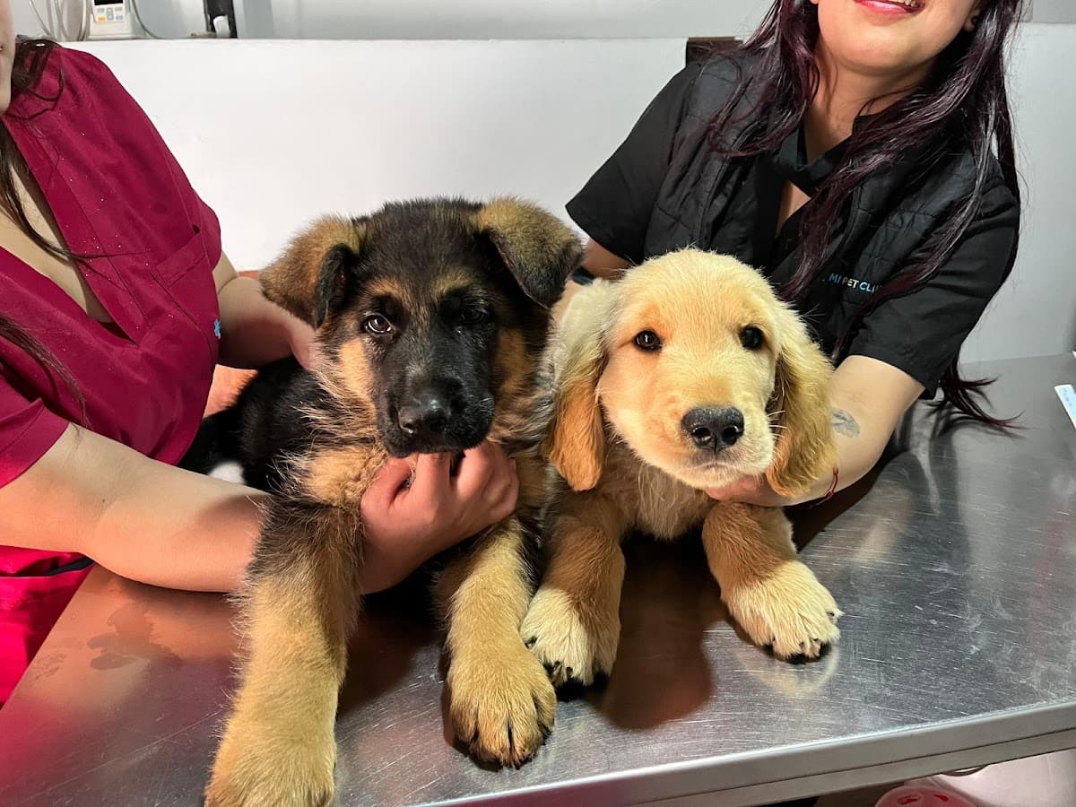 Mi Pet Clinic Veterinaria Sur de Quito — foto
