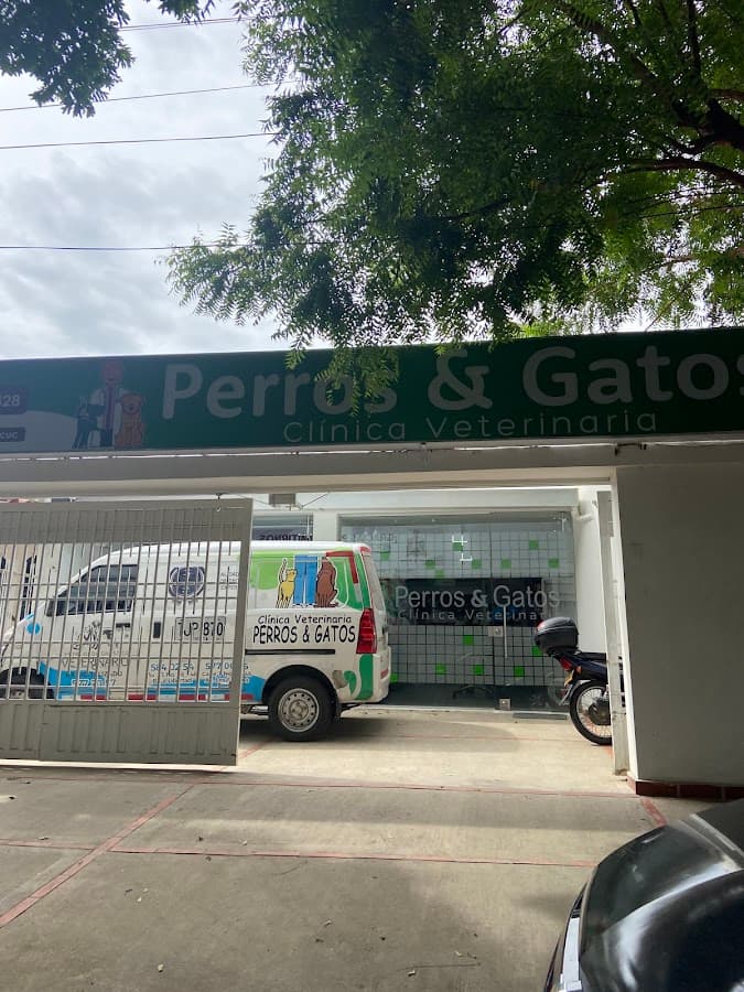 Perros & Gatos | Veterinaria