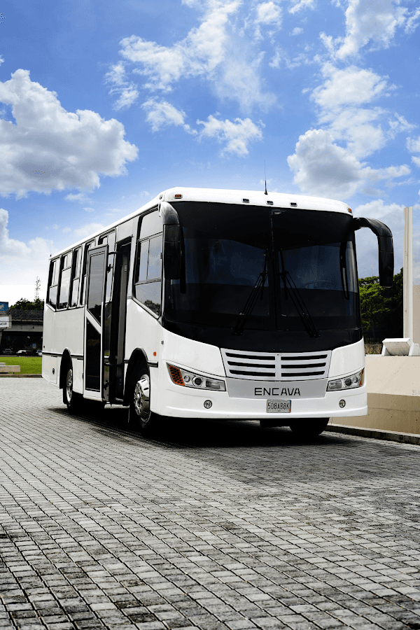 Servicios de Transporte Sin Fronteras baruch 91 C.A