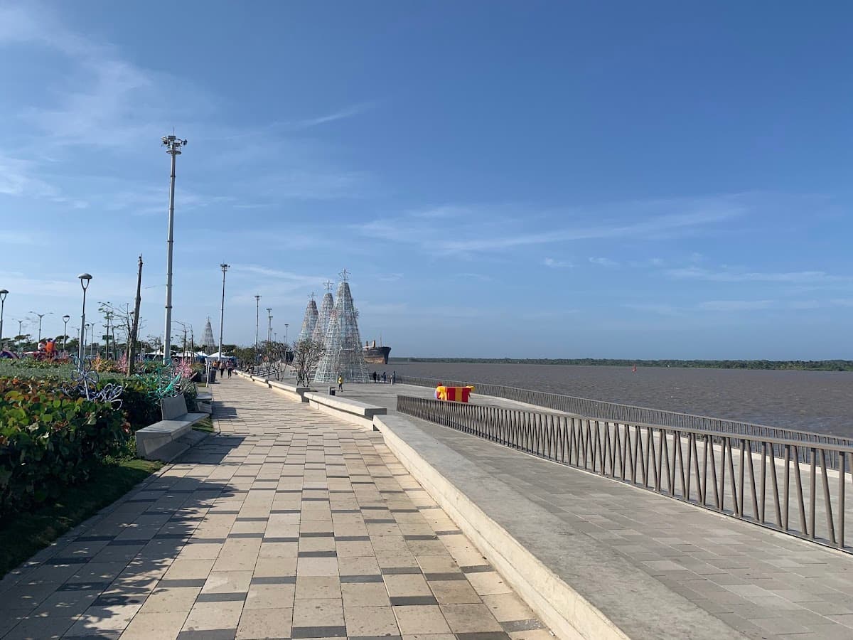 Gran Malecón - Caimán del río — foto