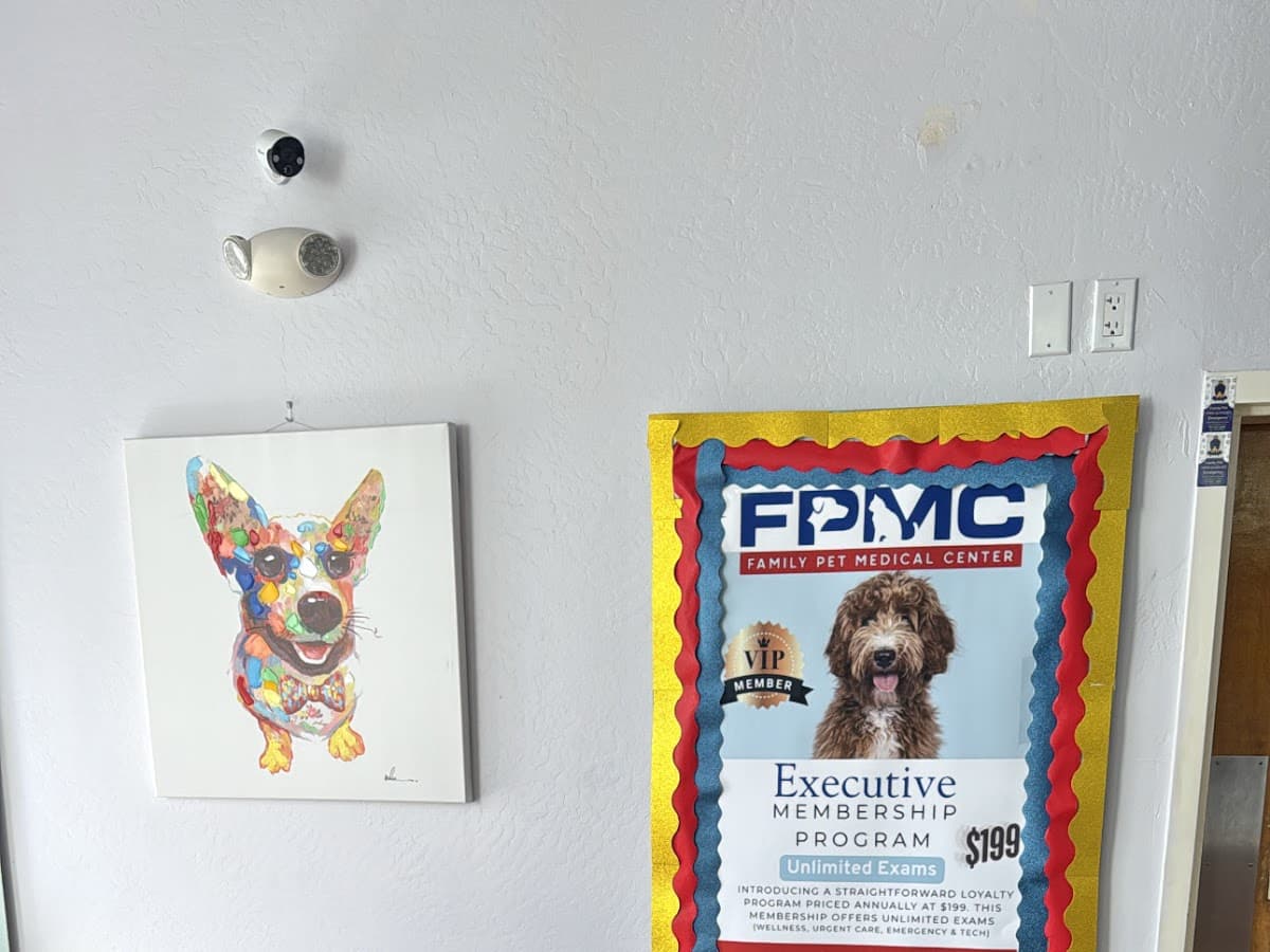 Animal Hospital of Ft Lauderdale — foto