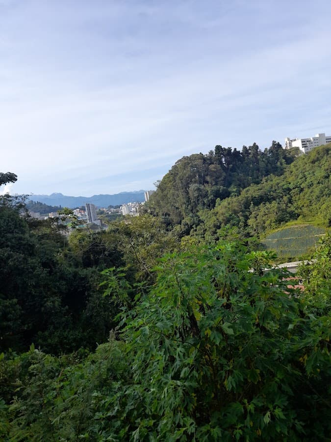 Parque La Carolita
