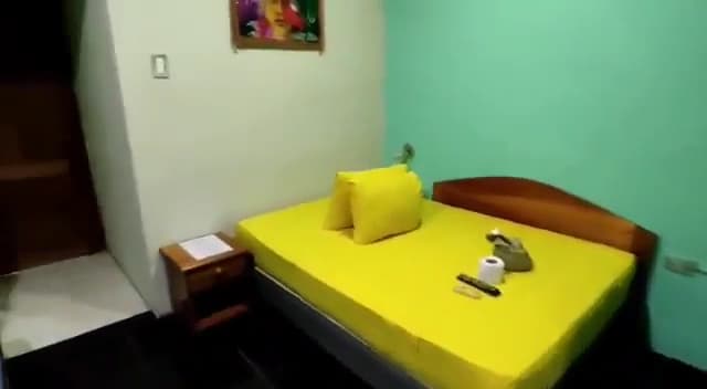 SELVA VIVA — foto