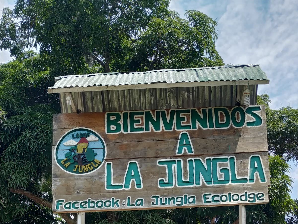 La Jungla