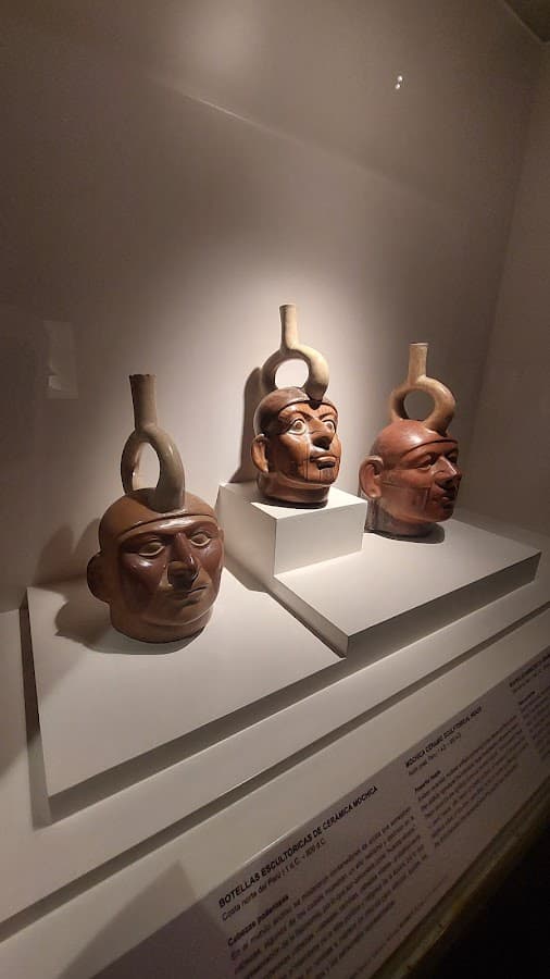Museo de Arte Precolombino — foto