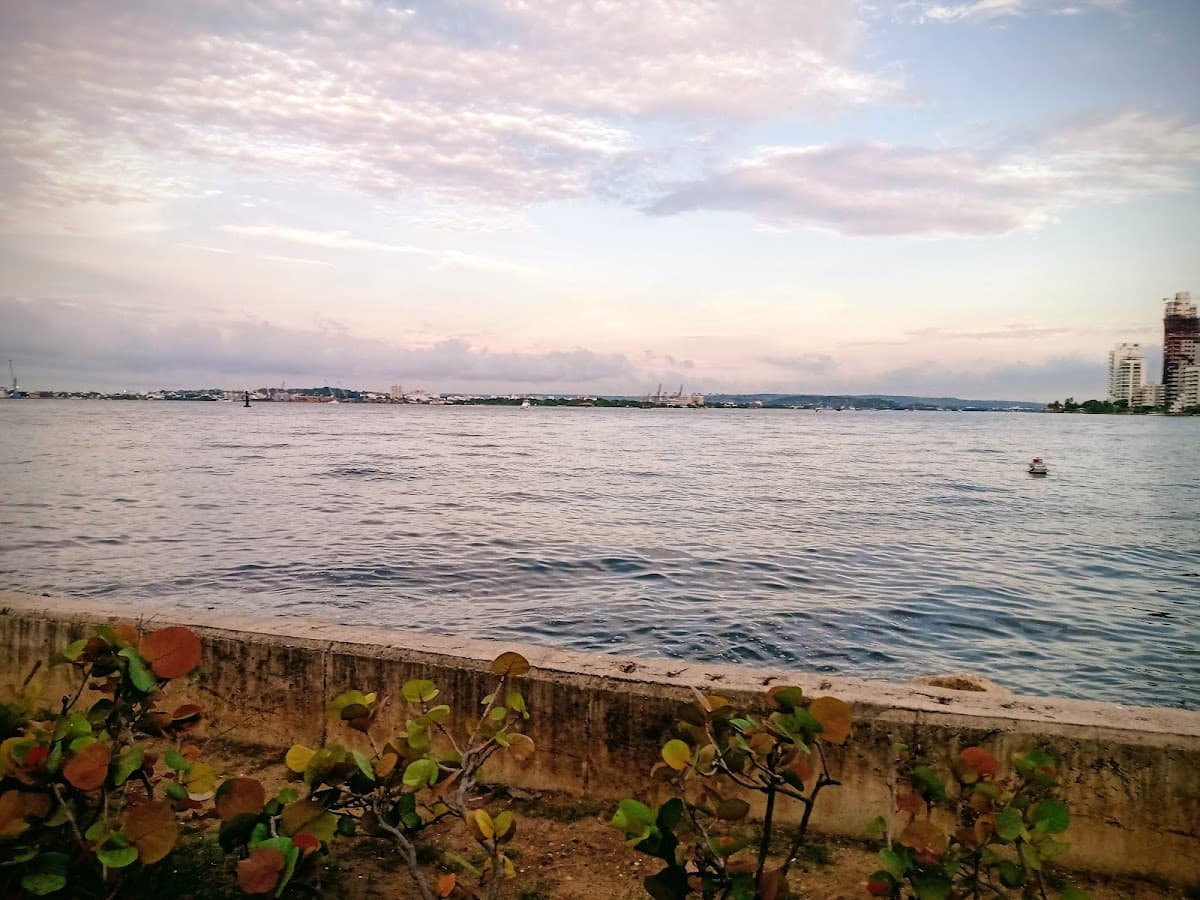 Parque Coral Gables — foto