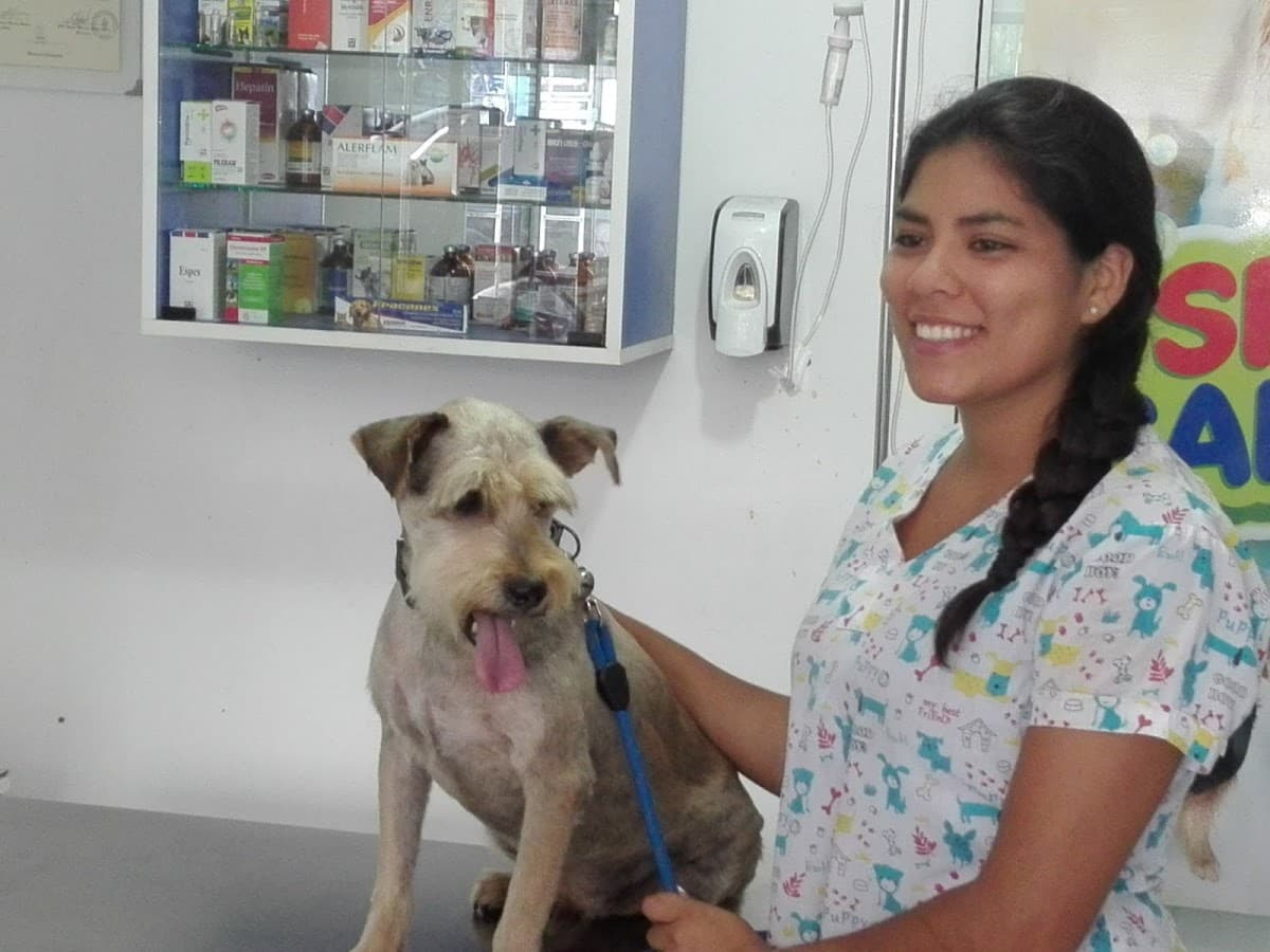 Centro veterinario PATASLANDIA — foto