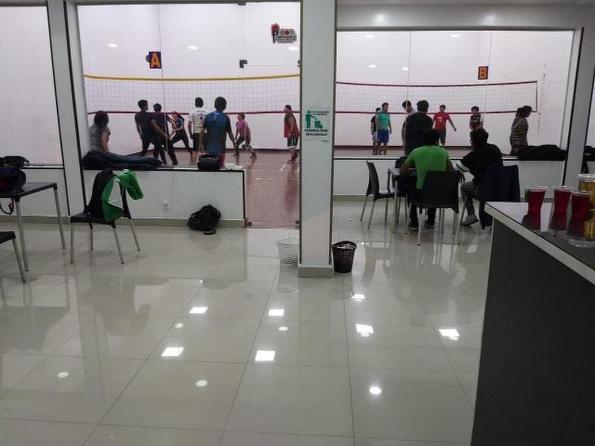 Raquet-wally Tauro — foto
