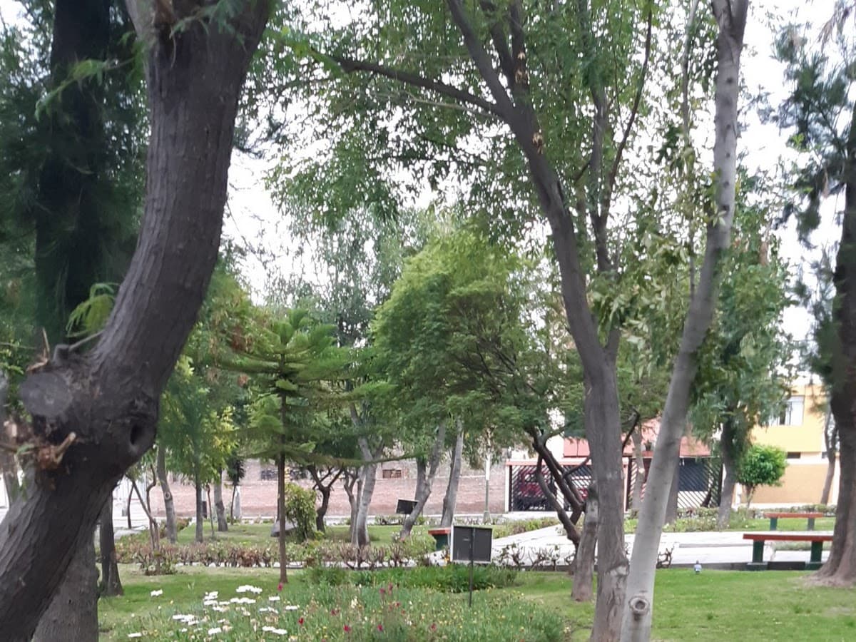 Parque La Señorial — foto