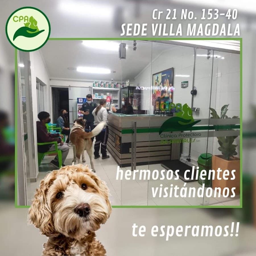 Clínica Veterinaria CPA - Sede Magdala - Urgencias 24 horas - Bogotá — foto