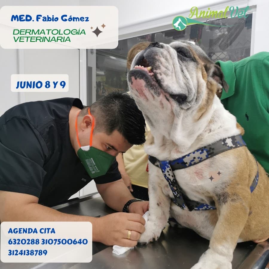 Animal Vet Centro Veterinario — foto