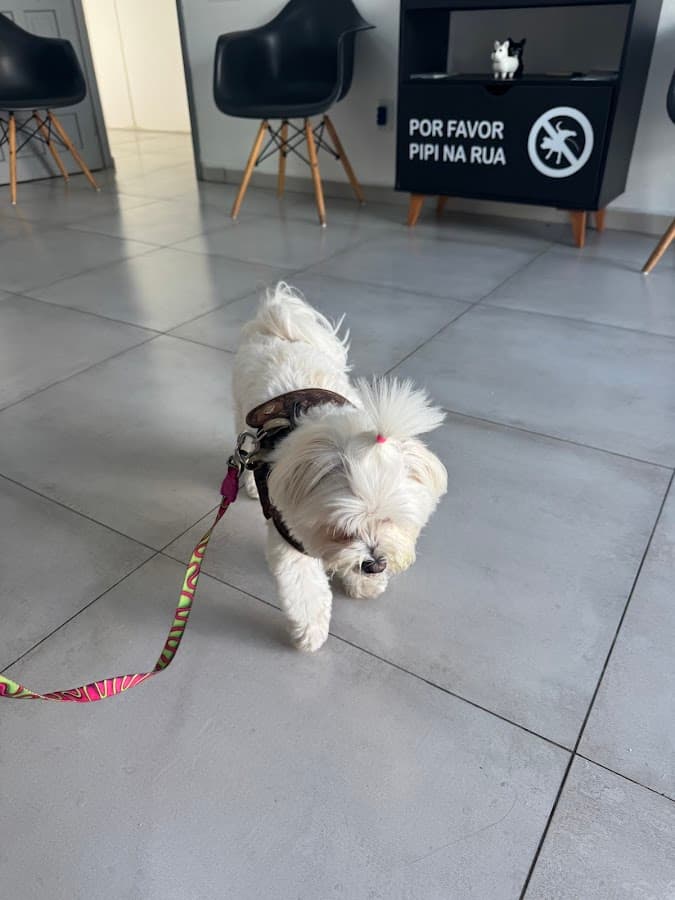 Centro Veterinário AnimalVet - Dr. Carlos Pirk — foto