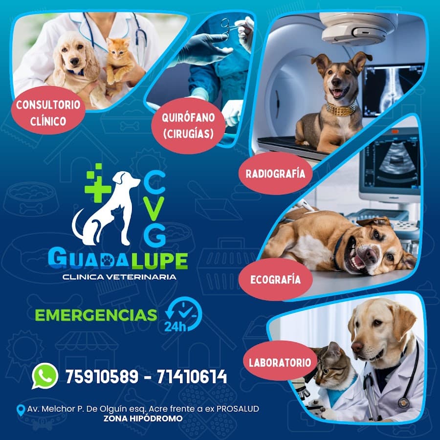 Clinica Veterinaria Guadalupe — foto