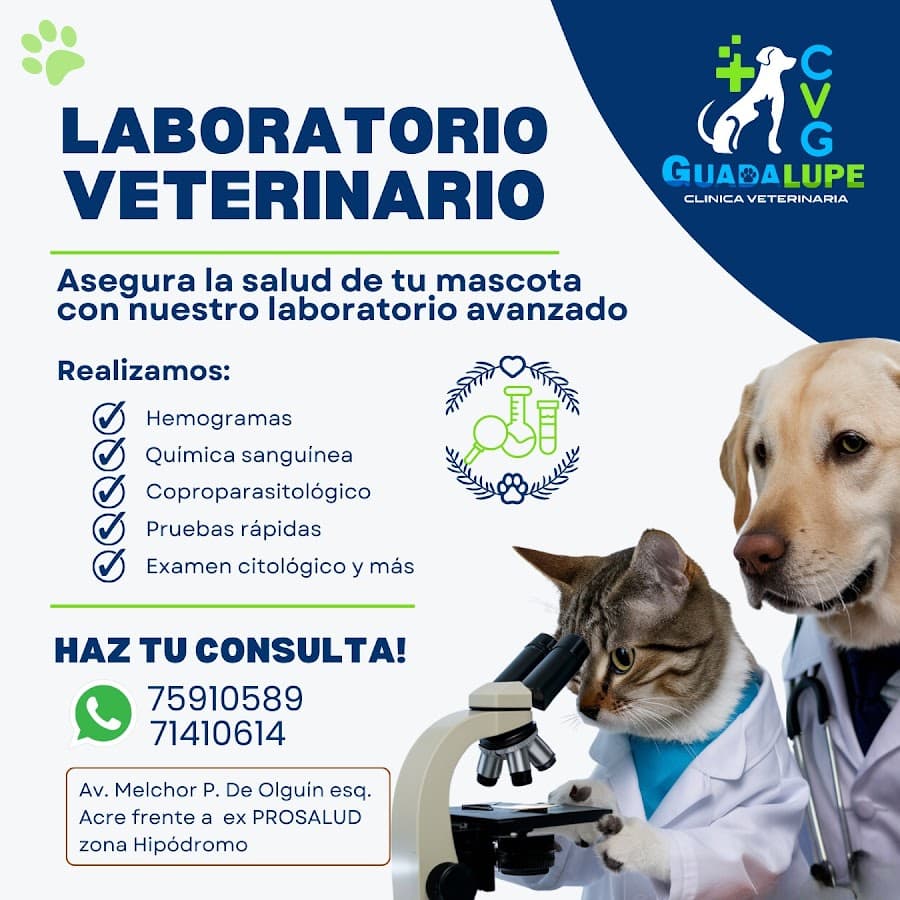 Clinica Veterinaria Guadalupe — foto