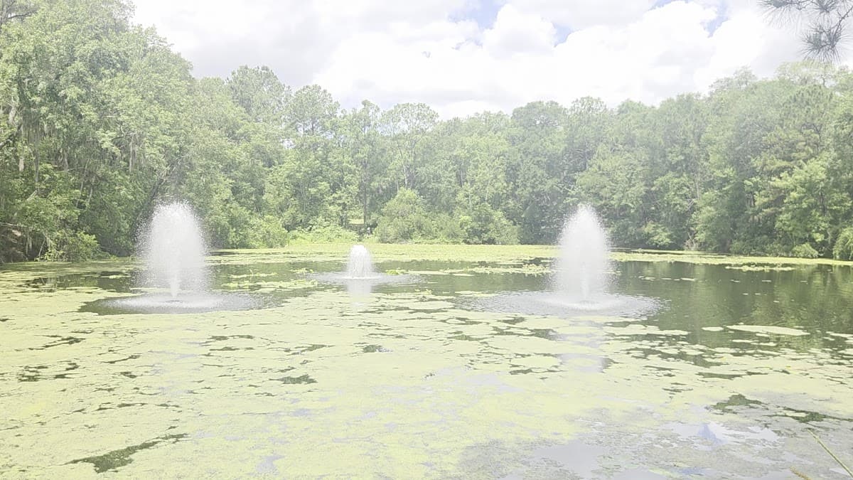 Jacksonville Arboretum & Botanical Gardens — foto