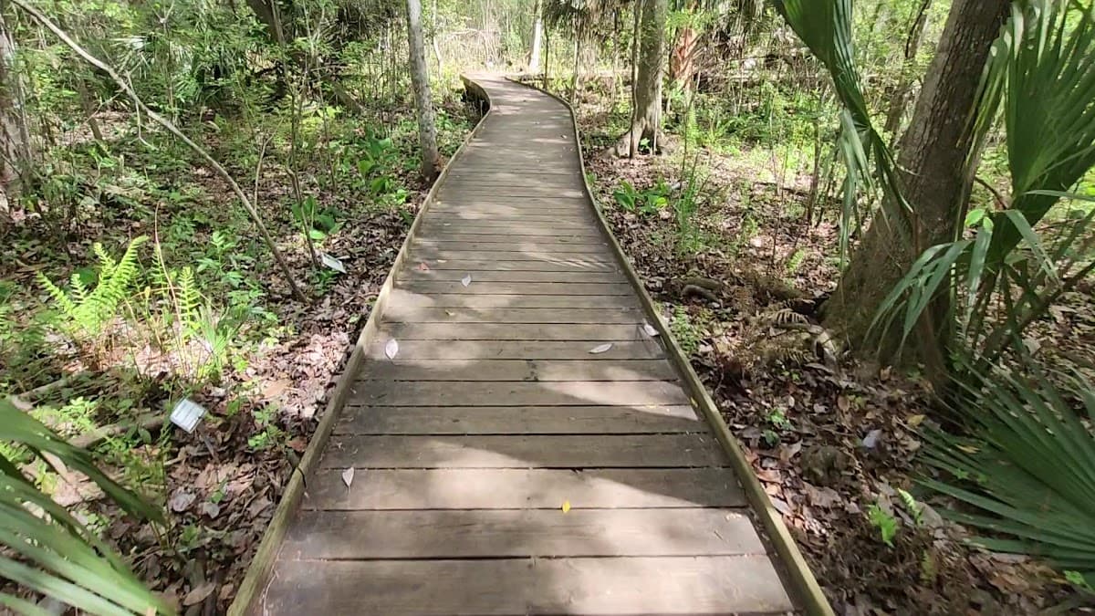 Jacksonville Arboretum & Botanical Gardens — foto