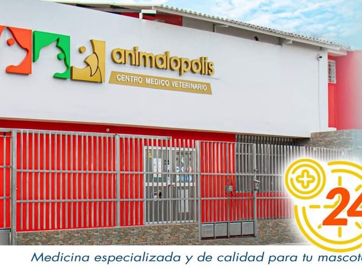 ARDOCAN VETERINARIA 24 Horas DR. ARTURO MOREIRA — foto