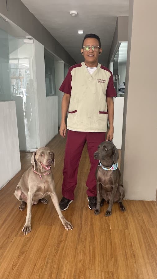 Mascotas Bocagrande Centro de Especialistas — foto