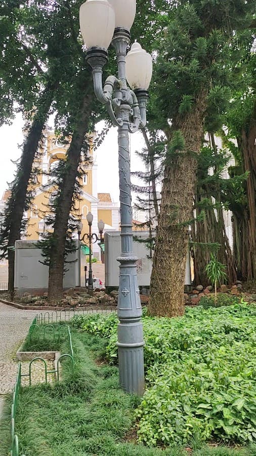 Figueira Centenária — foto