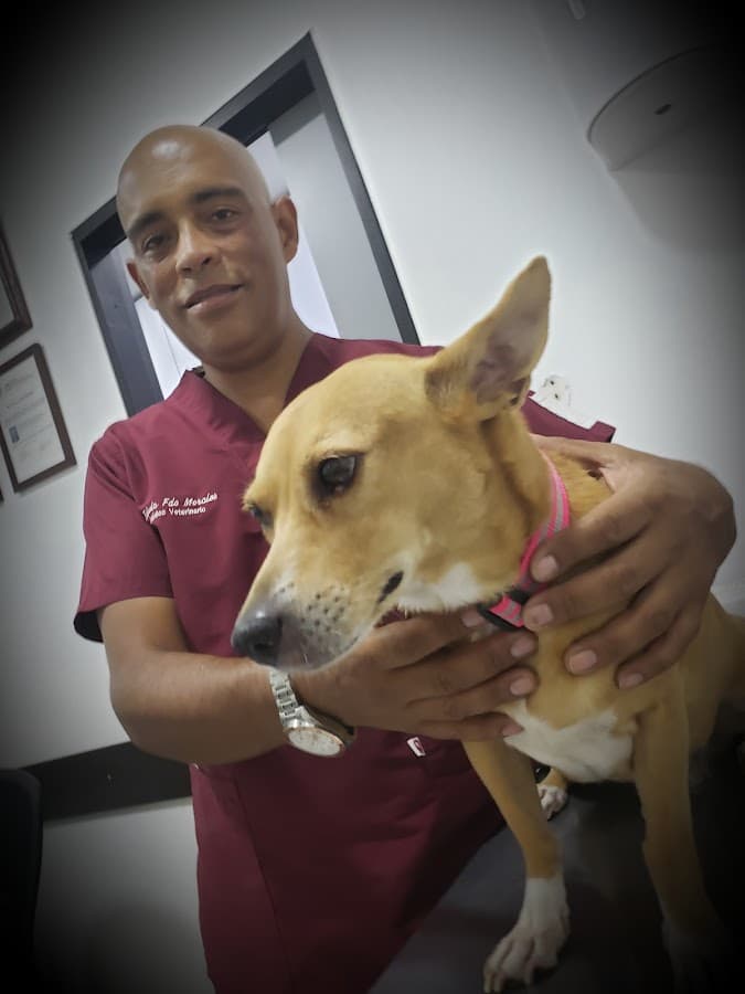 Veterinaria Motas EPS Santa Elena, veterinaria en Cali barrio Santa Elena, urgencias veterinarias en Cali barrio Santa Elena — foto