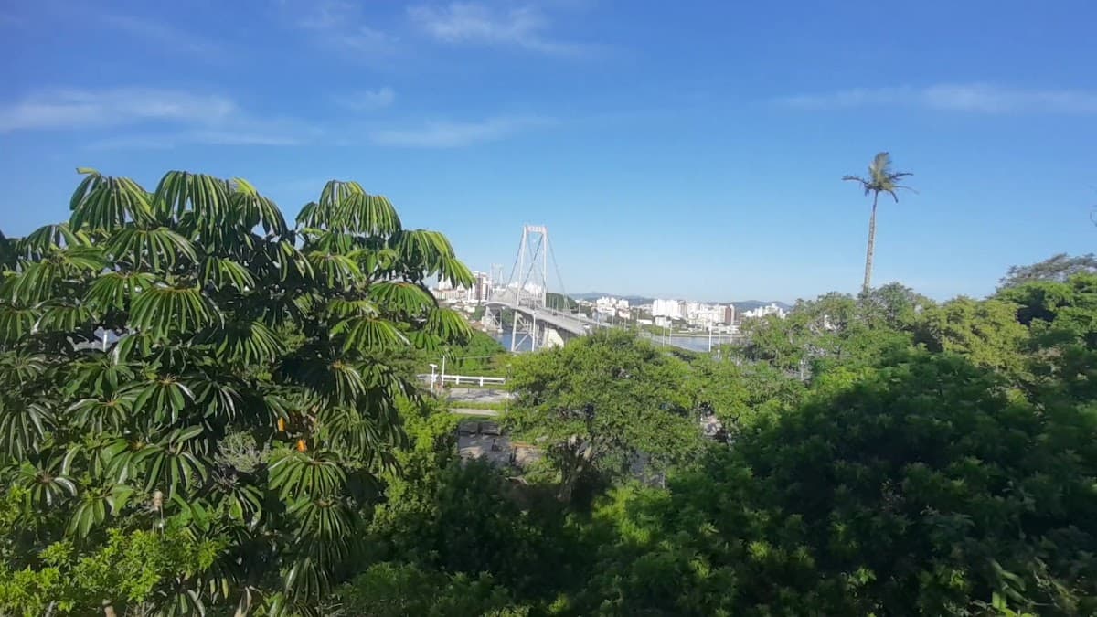 Parque da Luz — foto