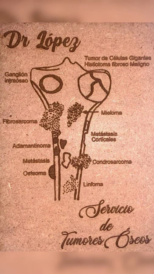 Hospital Oncológico Padre Machado — foto