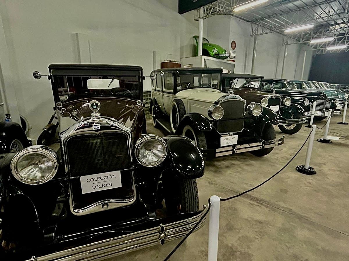 Colección Lucioni — foto