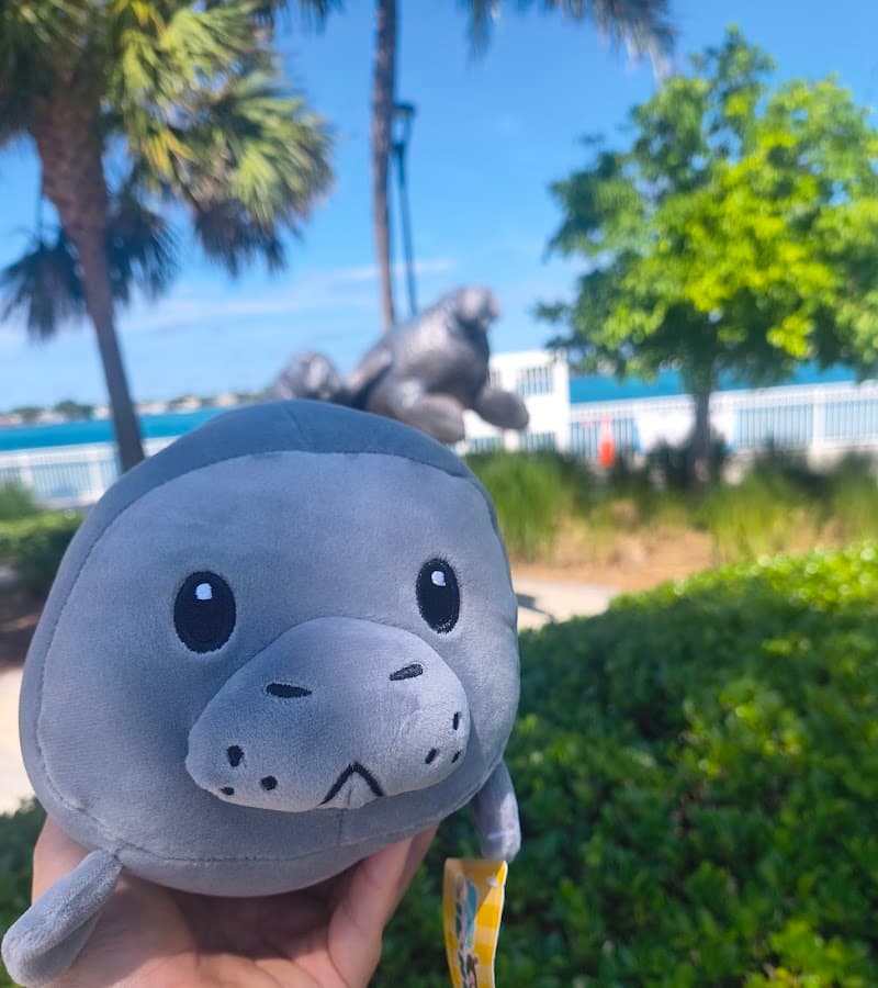 Manatee Lagoon — foto