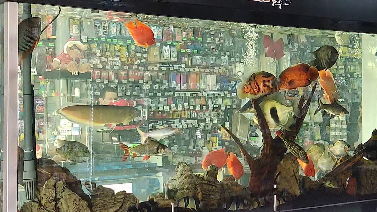 Tiendas Xavi — foto