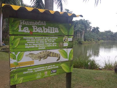 Humedal la Babilla