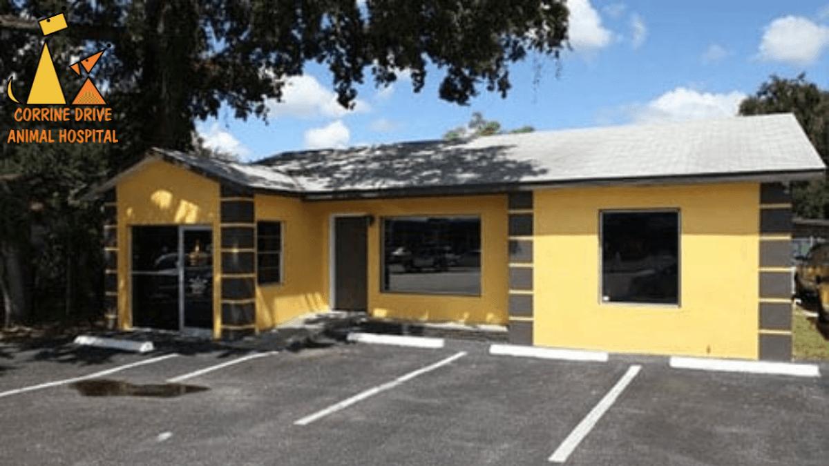 Corrine Drive Animal Hospital