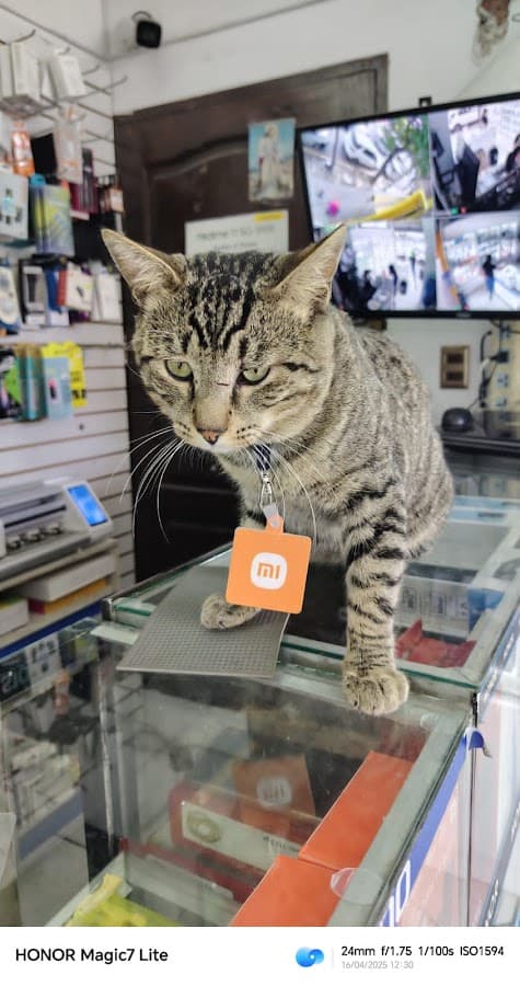 SIC Tienda De Celulares — foto