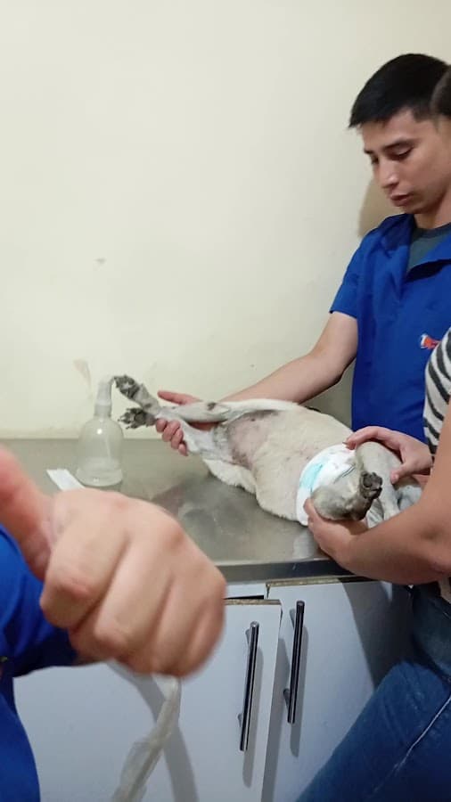 Veterinaria Mundo Mascotas La Rivera — foto