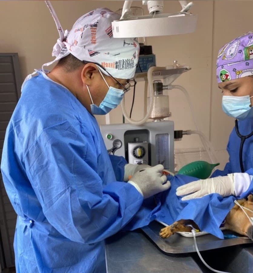 K'nes Clínica Veterinaria Neiva