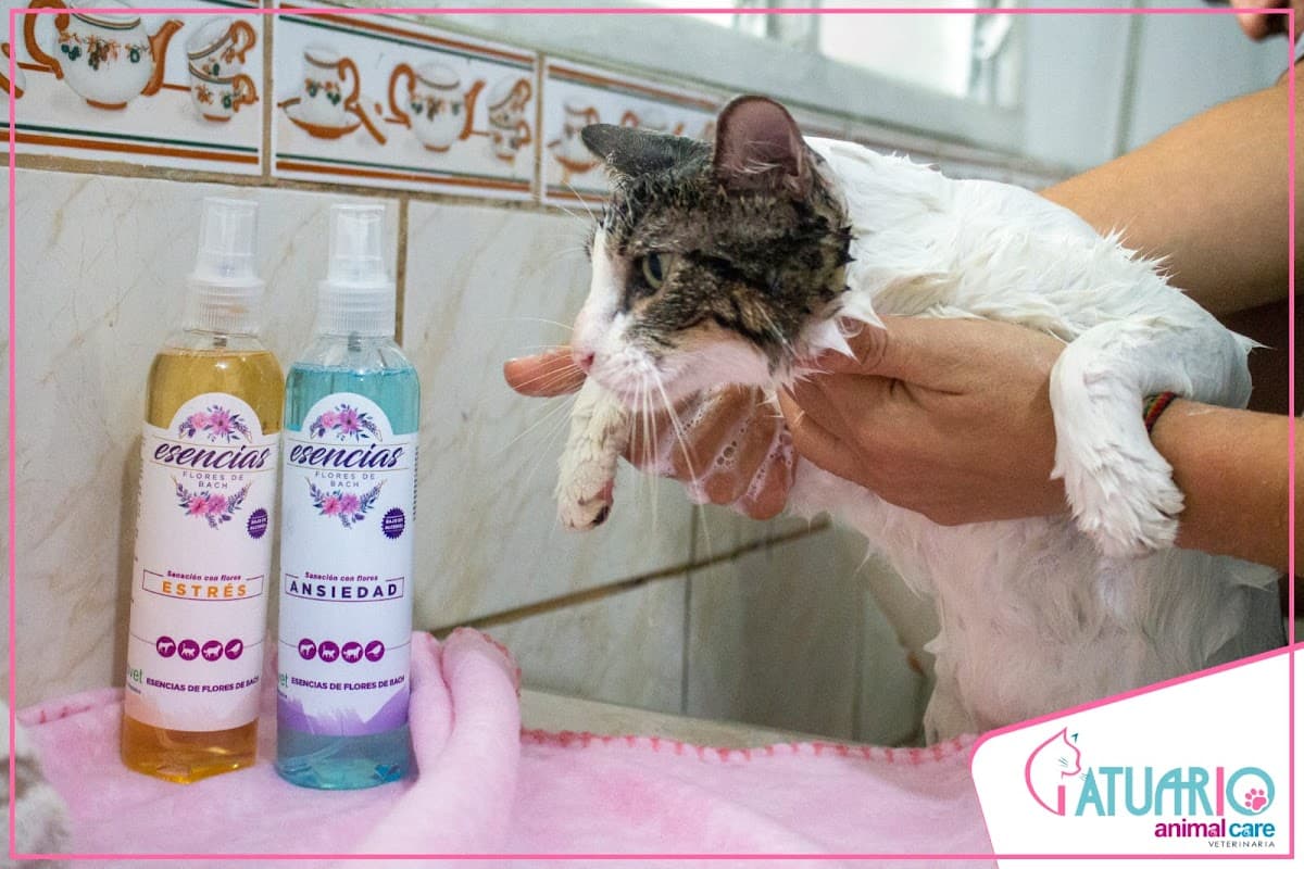CATUARIO Animal Care