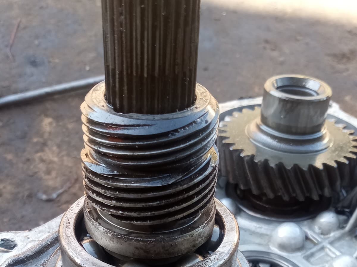 AUTOMOTRIZ DUANEE