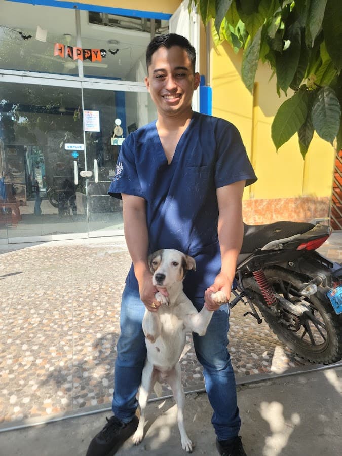 Veterinaria