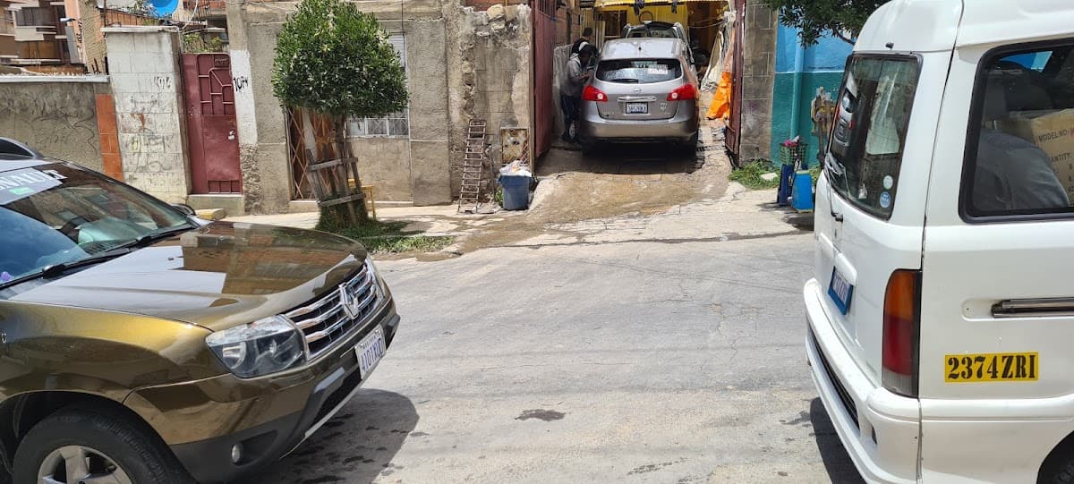 Lavado de Autos