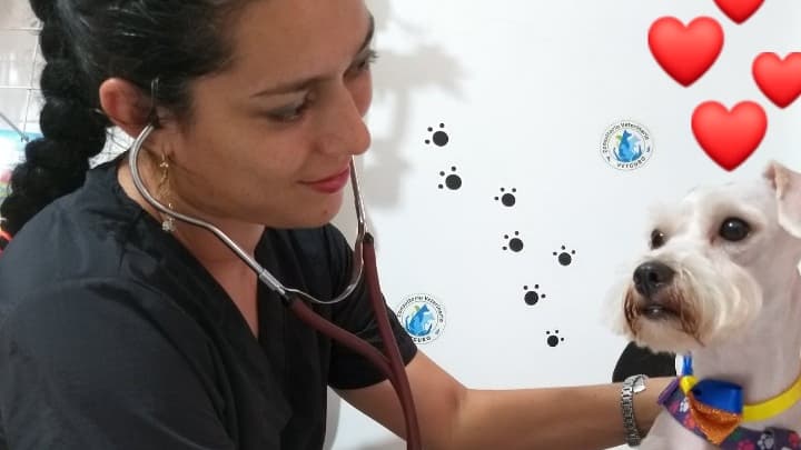 CONSULTORIO VETERINARIO VETGURO