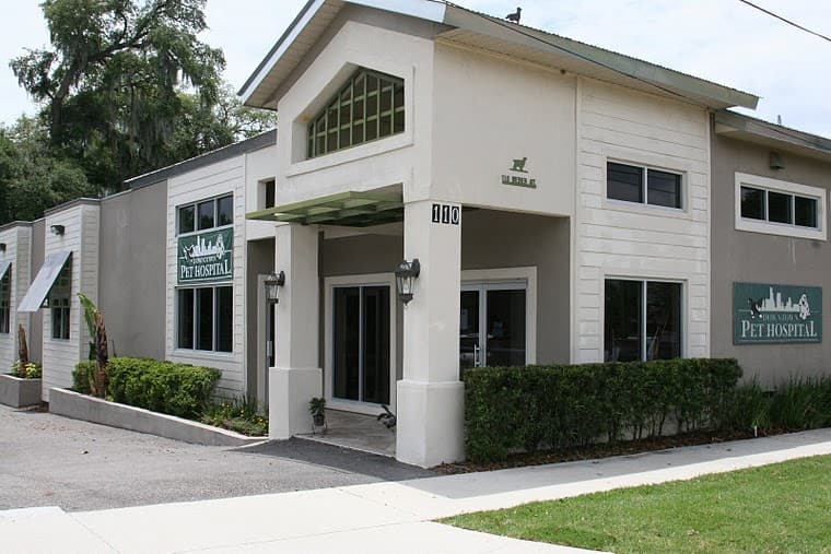 Downtown Pet Hospital — foto