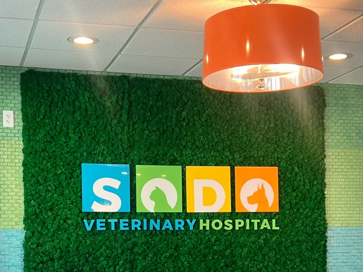 Downtown Pet Hospital — foto