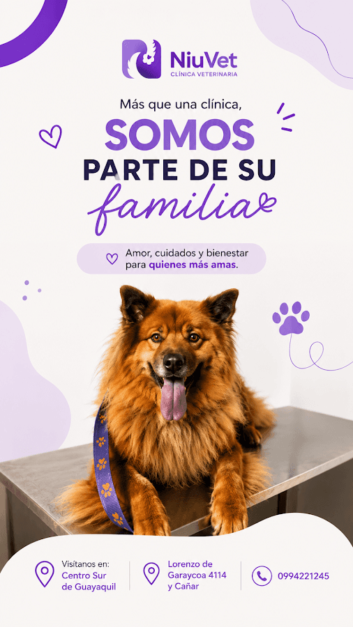 Niuvet Clínica Veterinaria — foto