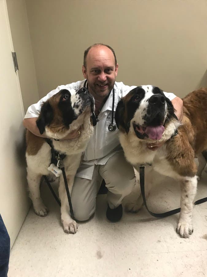 San Juan Animal Hospital — foto