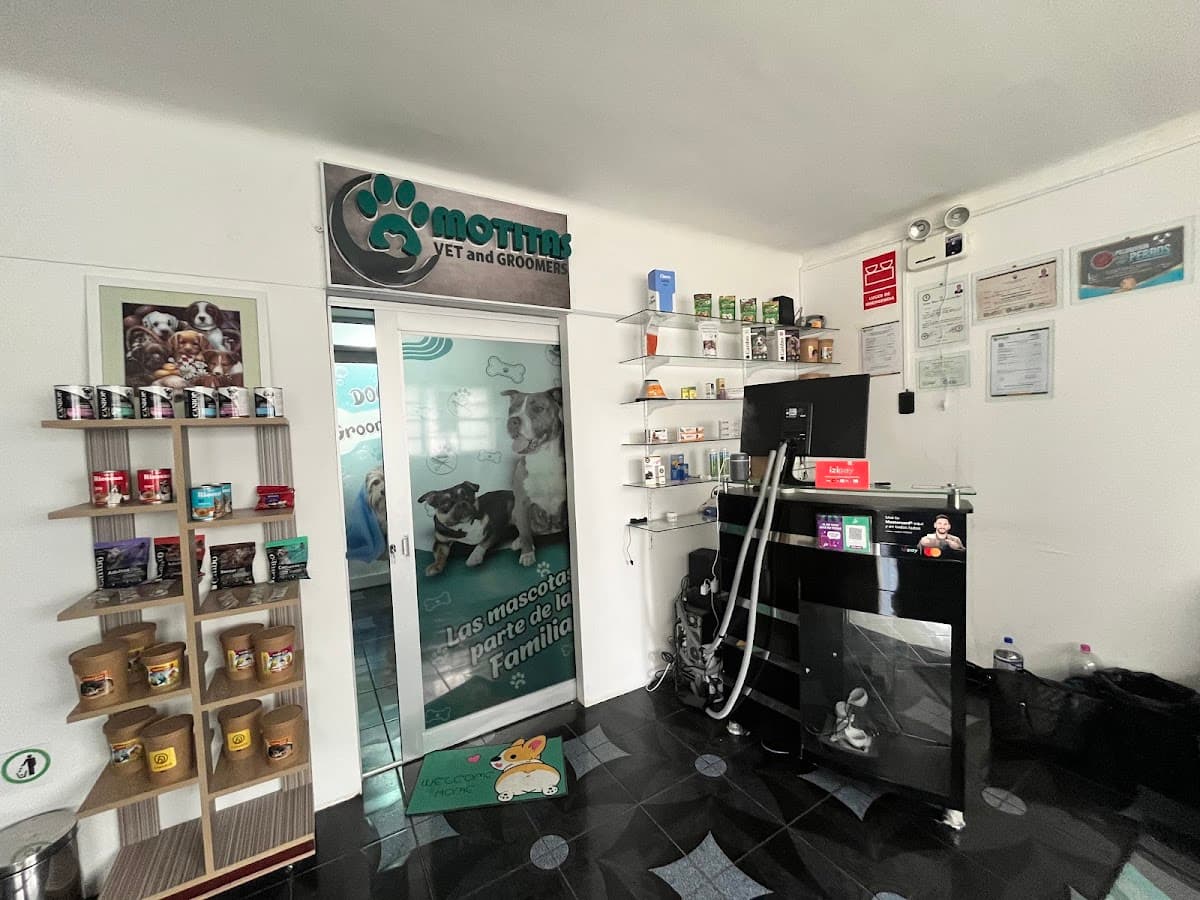 clinica medivet hyo — foto
