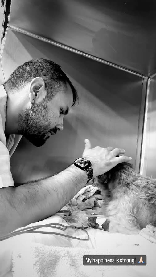 Miami Veterinary Specialists: Emergency Room — foto
