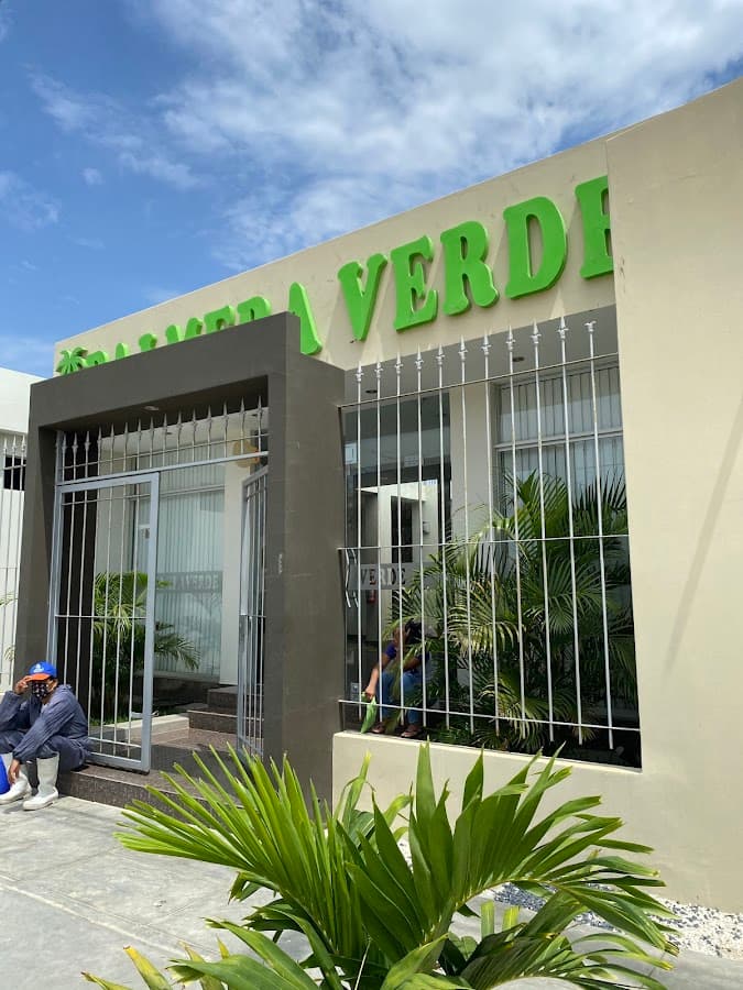 Palmera Verde